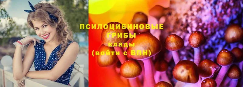 Галлюциногенные грибы MAGIC MUSHROOMS  OMG зеркало  Данков 